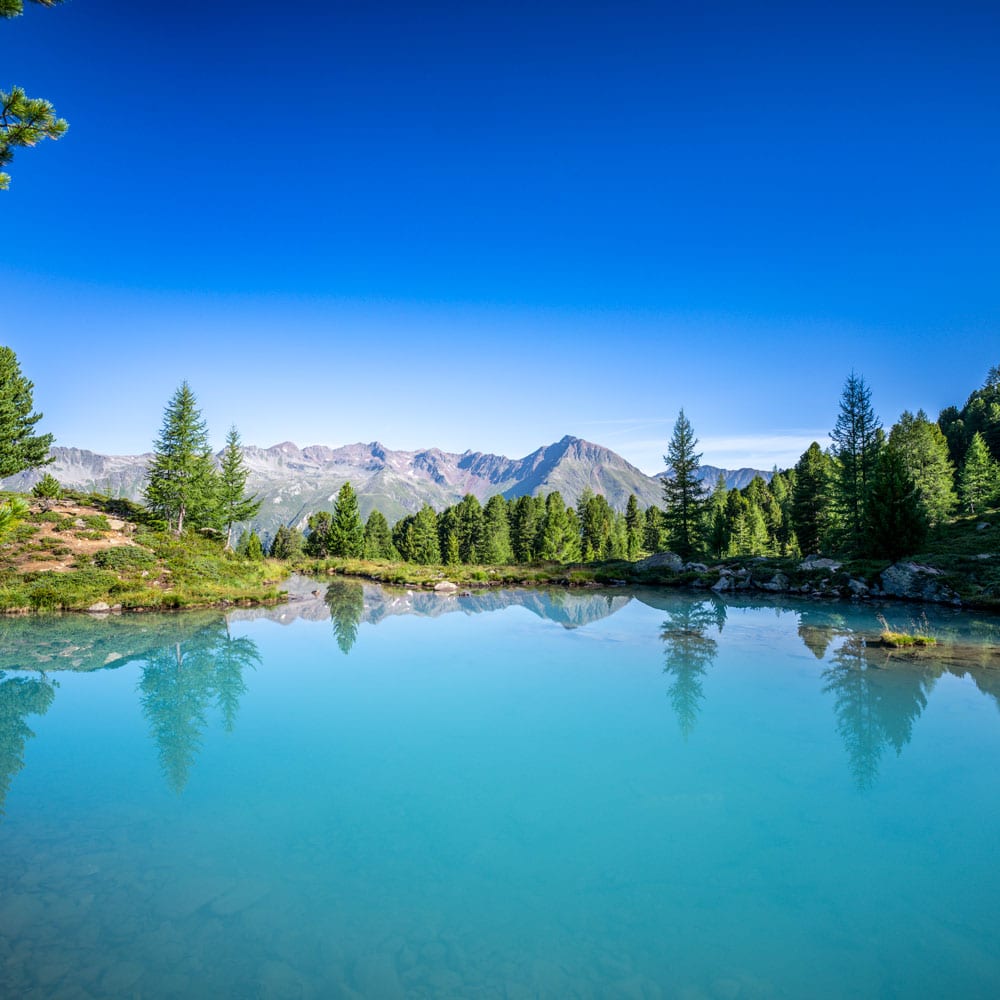 Klarer blauer See mit Pinien und Bergen - perfekt für einen Sommerurlaub in Ischgl.